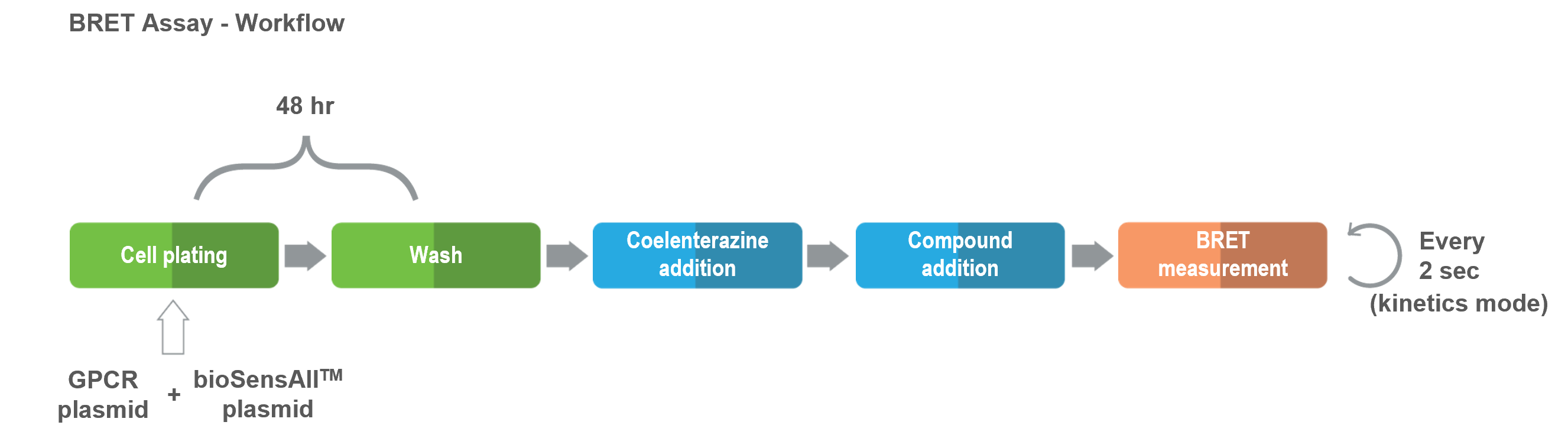 BRET biosensall assay principle