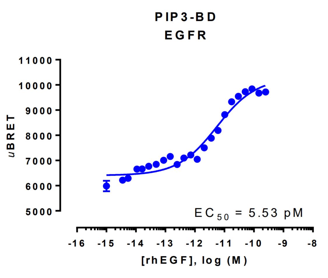 PIP3 biosensor BRET data