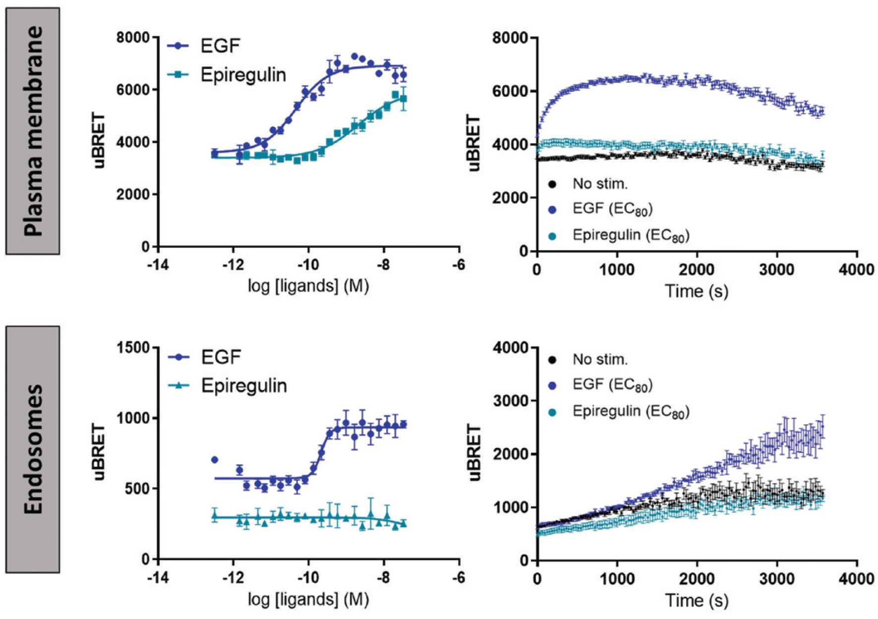 RTK ligand comparison real-time kinetics