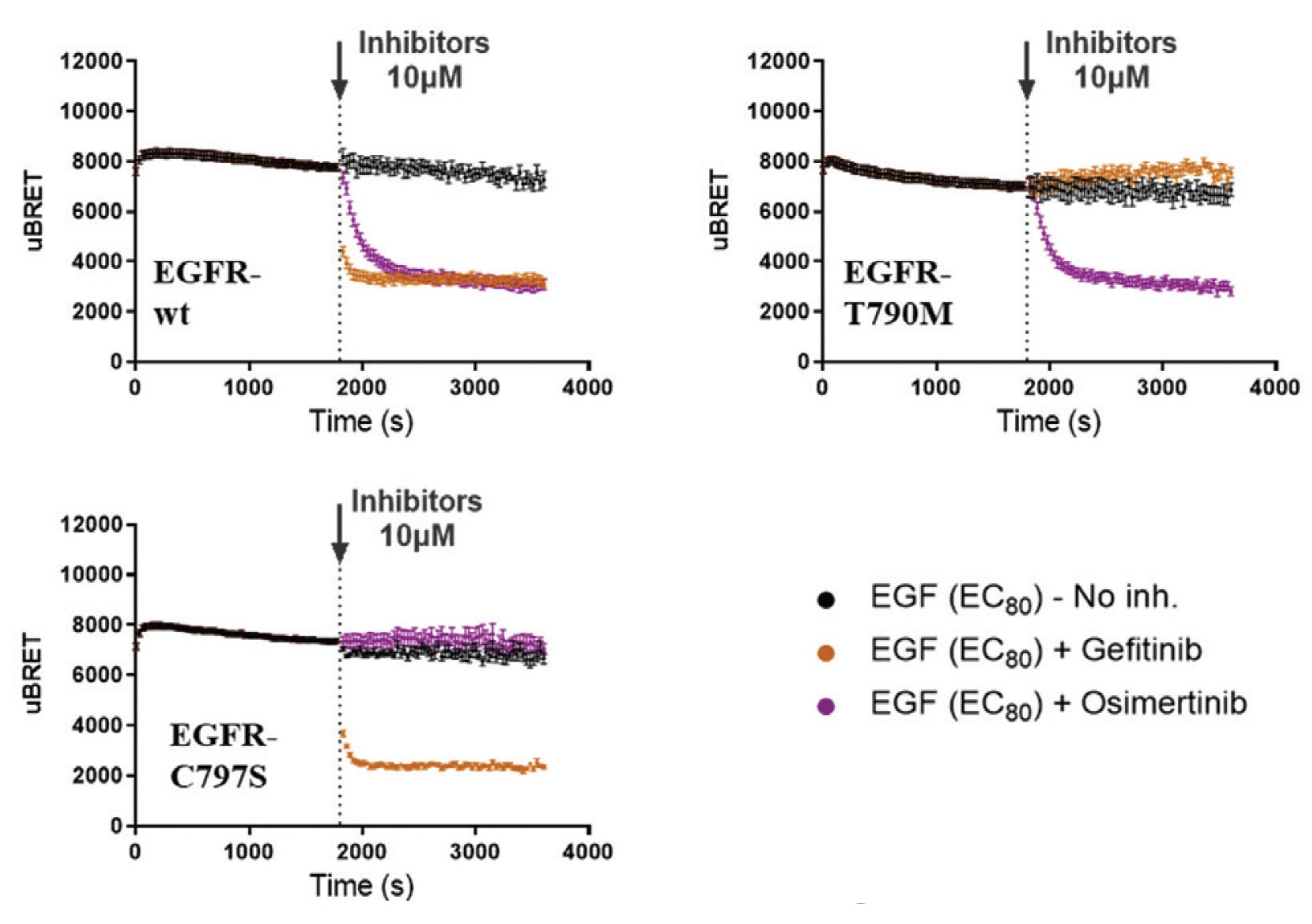 RTK GFR mutant comparison real-time kinetics 