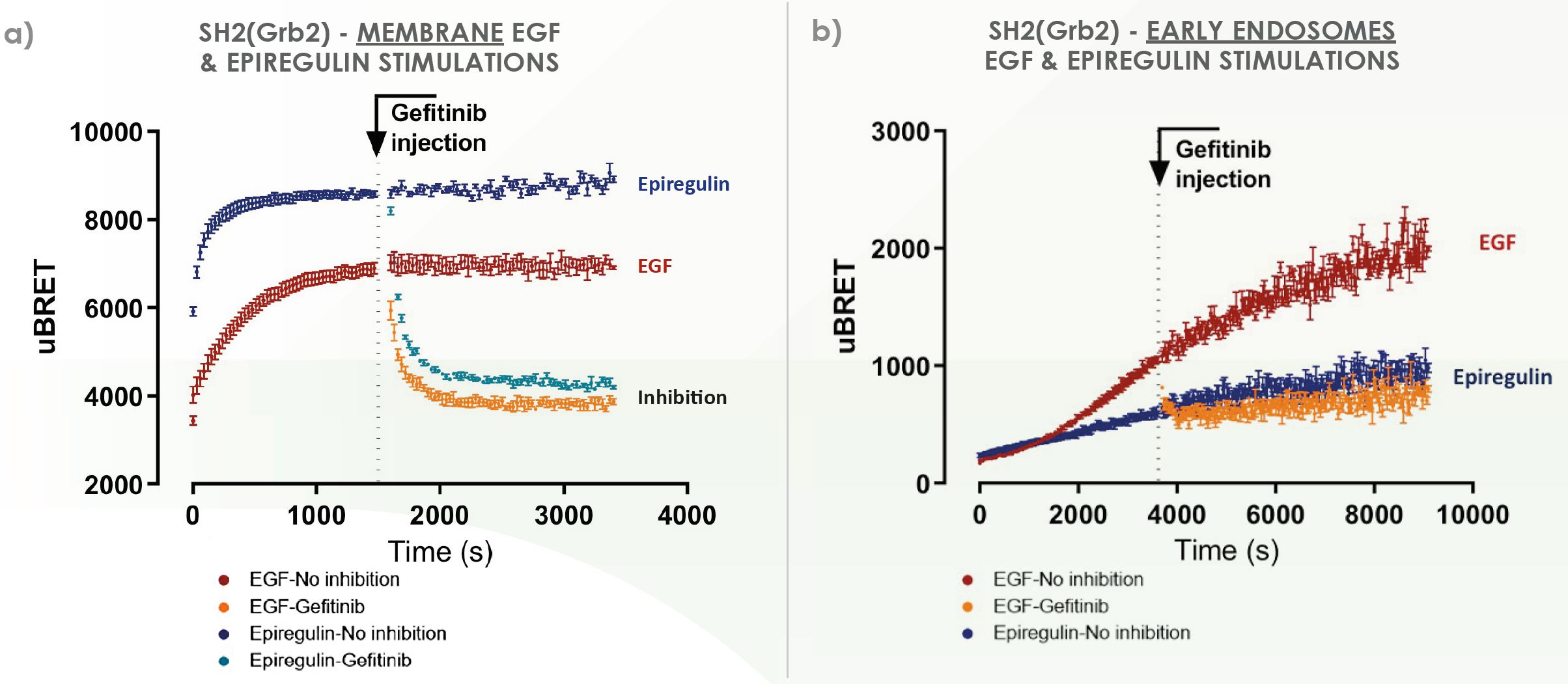 RTK realtime kinetics data