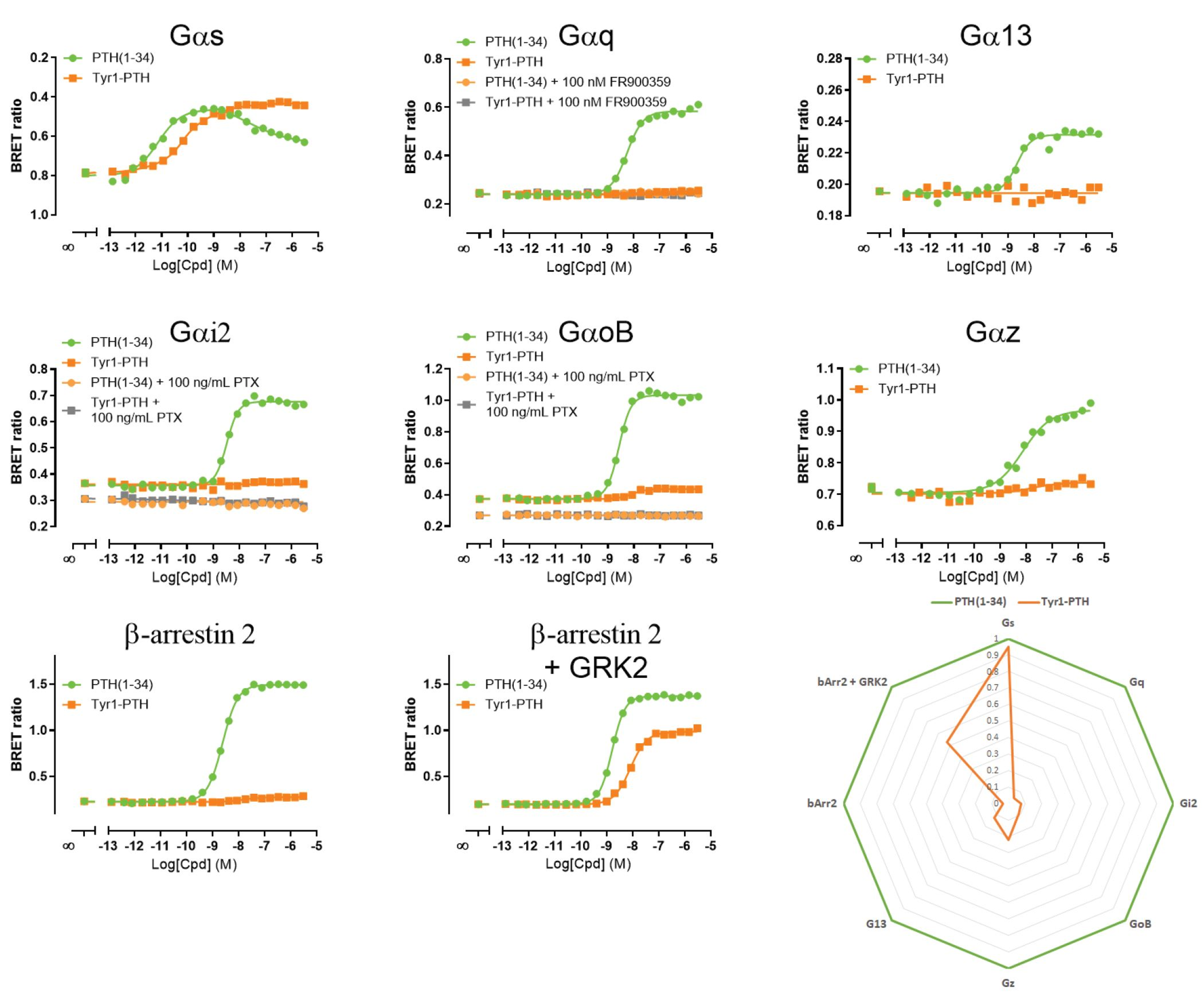 PTH1R bias signaling 