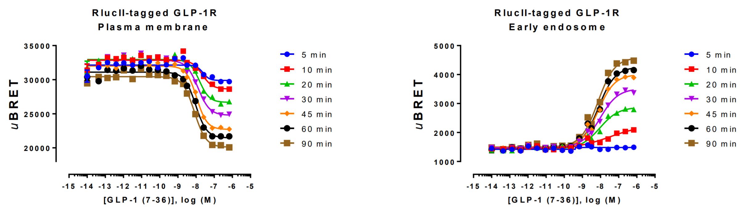 GPCR localization biosensor, BRET, results