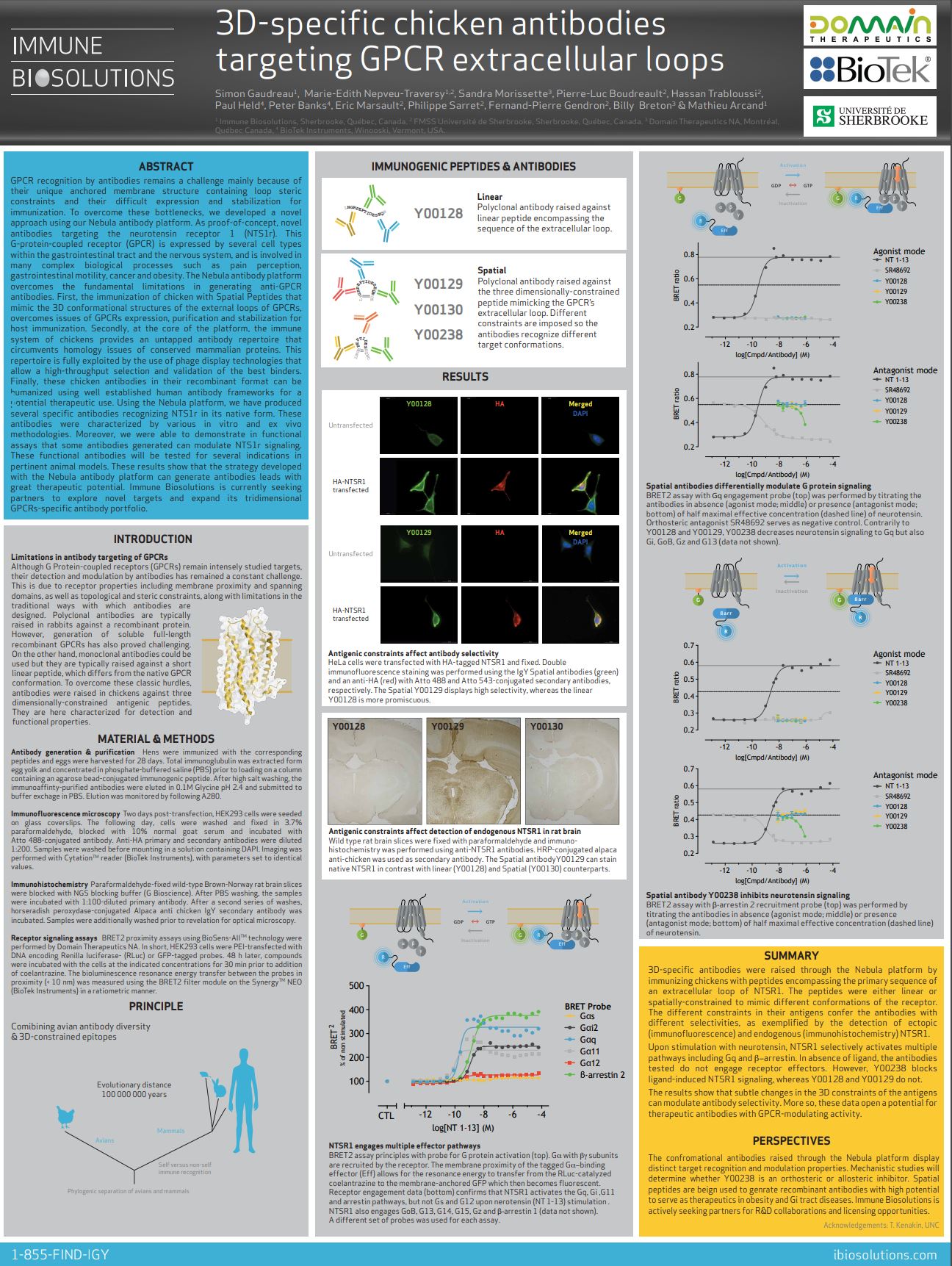 IBS 2016: 3D-specific chicken antibodies targeting GPCR extracellular loops