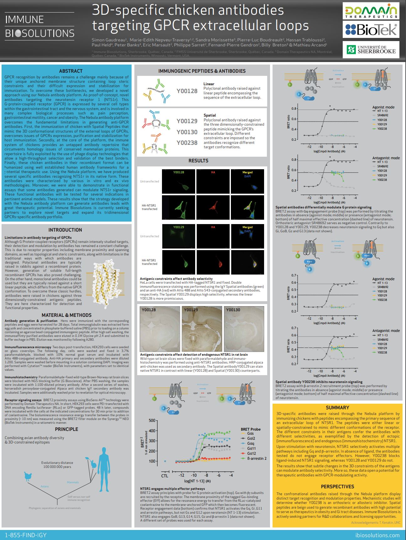 IBS 2016: 3D-specific chicken antibodies targeting GPCR extracellular loops